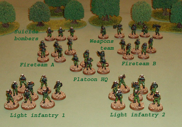 a typical 2500 points worth force
